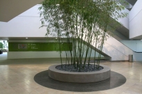 47. Michelson Lobby 