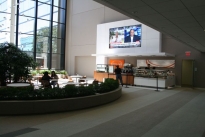 49. Michelson Lobby 