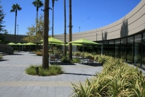 208. Cafeteria Plaza