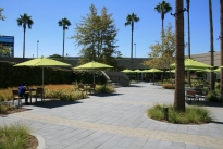 211. Cafeteria Plaza