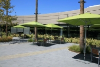 206. Cafeteria Plaza