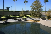 213. Cafeteria Plaza