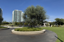 239. Plaza/Park