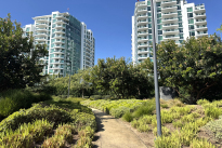 222. Plaza/Park