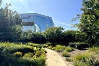 242. Plaza/Park
