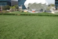 Central Park Playa Vista