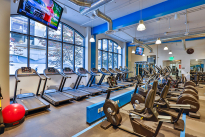 50. Gym