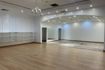 113. Suite 151
