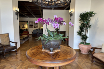 8. Lobby