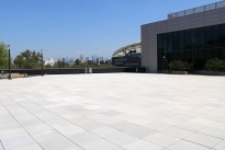 Fields LA