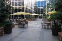 Maple Plaza