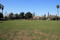 29. Baseball Field