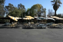 91. Lunch Area