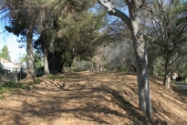 118. Exterior