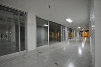 43. Basement