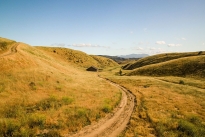 22. Ranch