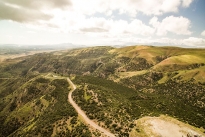 40. Ranch