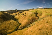 43. Ranch