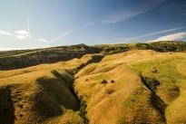 44. Ranch