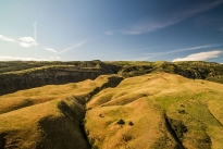 45. Ranch