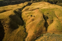 46. Ranch