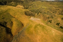 47. Ranch