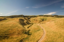 53. Ranch