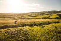 58. Ranch