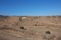 61. Ranch