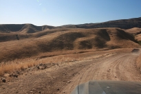 62. Ranch