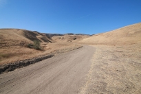 63. Ranch