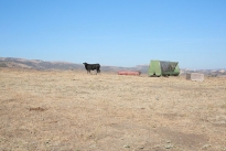 66. Ranch