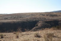 69. Ranch