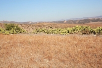 71. Ranch