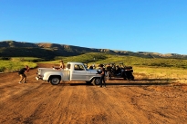 80. Ranch