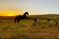 83. Ranch