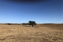 90. Ranch
