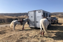 93. Ranch