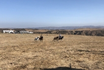 97. Ranch