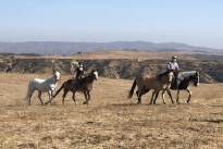 98. Ranch