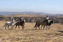 99. Ranch