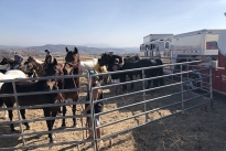 103. Ranch