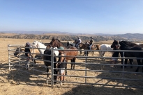 104. Ranch