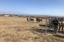 105. Ranch