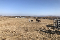 106. Ranch