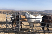 107. Ranch