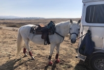 108. Ranch