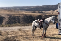 109. Ranch