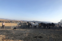 111. Ranch