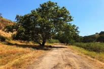 16. Ranch